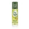 Frylight Extra Virgin Olive Oil Cooking Spray 190 Ml(Frylight Extra Virgin Olive Oil Cooking Spray 190 Ml)